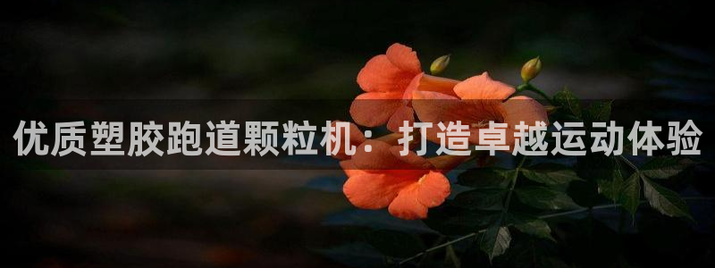 谈球吧平台：优质塑胶跑道颗粒机：打造卓越运动体验