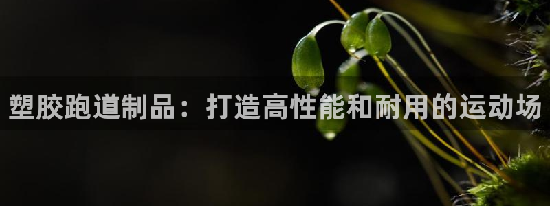 谈球吧体育app下载足球比赛直播：塑胶跑道制品：打造高性能和耐用的运动场