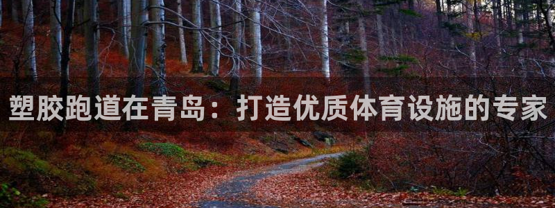 谈球吧是黑台子吗知乎小说：塑胶跑道在青岛：打造优质体育设施的专家
