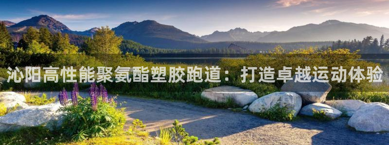 谈球吧平台app下载网址是多少：沁阳高性能聚氨酯塑胶