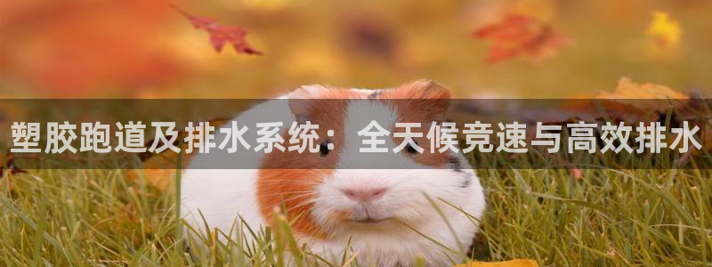 谈球吧app体育下载官网：塑胶跑道及排水系统：全天候