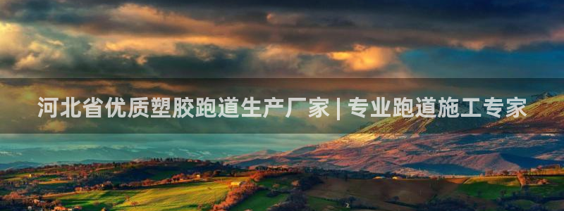 谈球吧体育app官网下载安装：河北省优质塑胶跑道生产