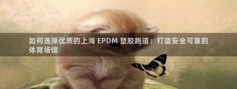 谈球吧nba：如何选择优质的上海 EPDM 塑胶跑道