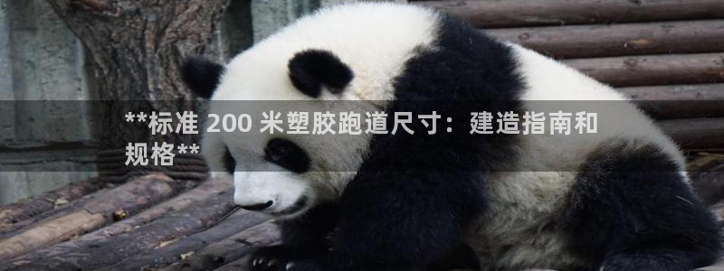 谈球吧网站：**标准 200 米塑胶跑道尺寸：建造指