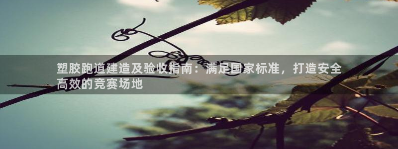 谈球吧算违法行为吗：塑胶跑道建造及验收指南：满足国家