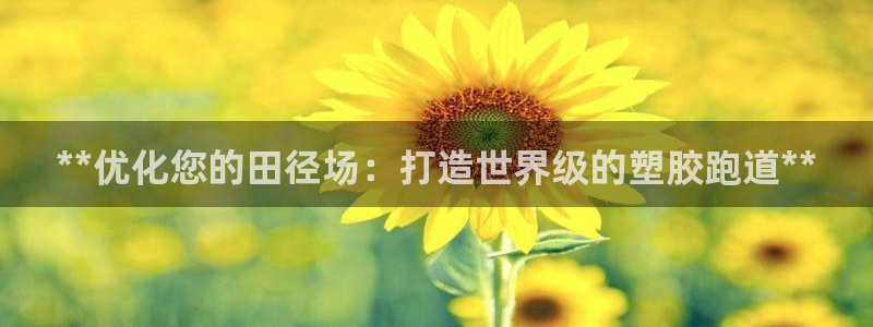 谈球吧体育app登陆不上：**优化您的田径场：打造世