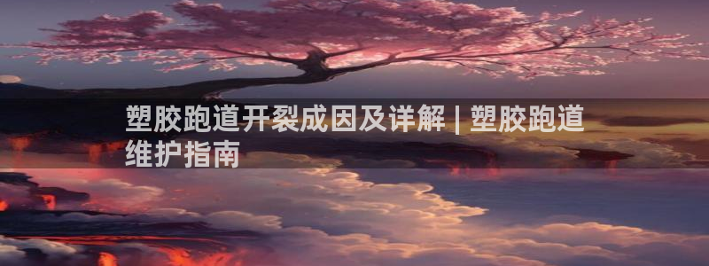 谈球吧官网在线入口网址：塑胶跑道开裂成因及详解 | 