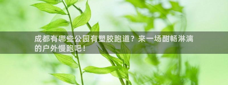 tqb谈球吧：成都有哪些公园有塑胶跑道？来一场酣畅淋
