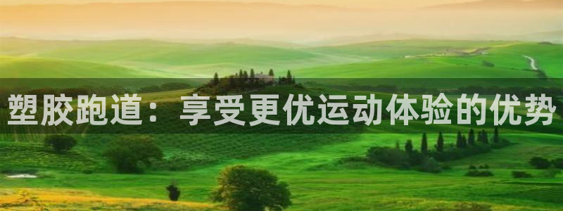 谈球吧体育app登陆不上：塑胶跑道：享受更优运动体验