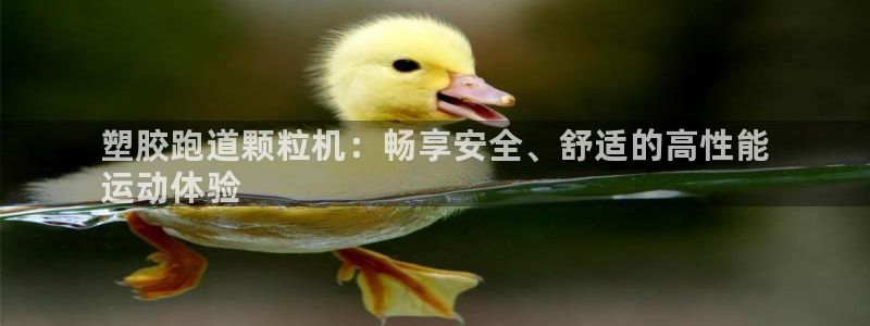 谈球吧官网在线入口手机版免费观看：塑胶跑道颗粒机：畅