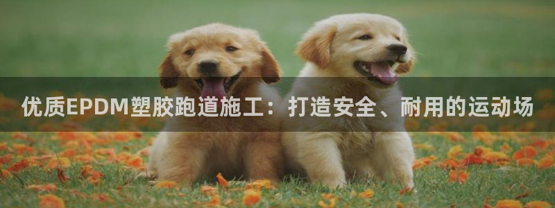 谈球吧体育app登陆入口：优质EPDM塑胶跑道施工：打造安全