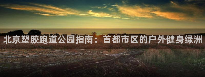 谈球吧娱乐app下载官网苹果手机：北京塑胶跑道公园指南：首都